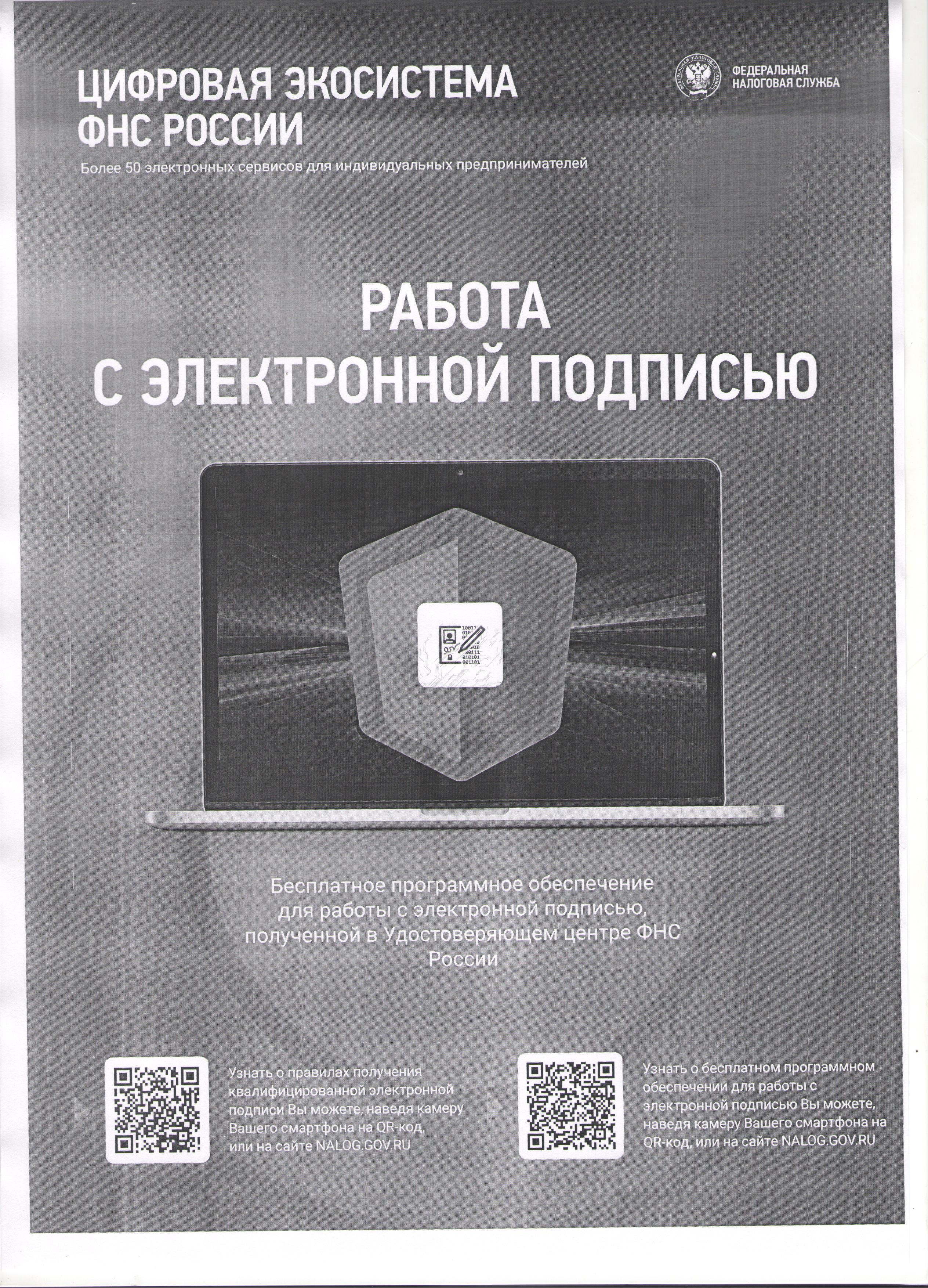 Цифровая экосистема ФНС России.