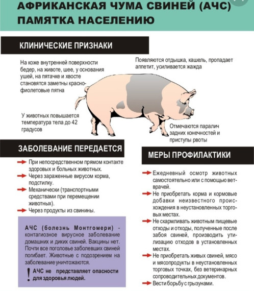 Информация для населения. Информация для населения.