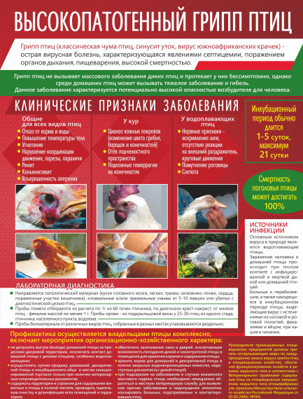 Информация для населения. Информация для населения.